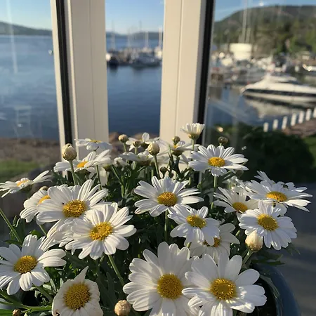 Badehotellet 3* Holmsbu